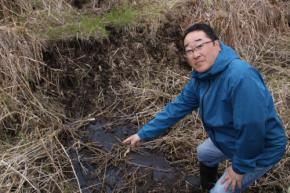 北海道メガソーラー事業地で「キタサンショウウオ」の卵のう発見