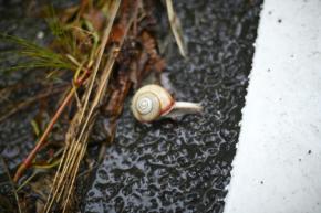 関東甲信と東海が梅雨入り　平年並み、昨年よりは大幅に遅く