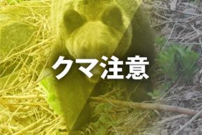 宇都宮市街地でクマ目撃相次ぐ　県庁付近など、市が警戒呼びかけ