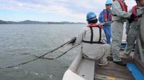 瀬戸内海で新たに活断層2本確認 M7以上の地震起こす可能性も