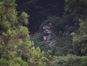山中に巨大な「横顔」　高さ5メートルの巨大な「人面岩」　愛媛