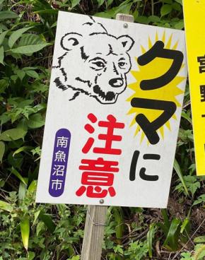 相次ぐクマ被害、対応は「駆除中心」66% 毎日新聞世論調査