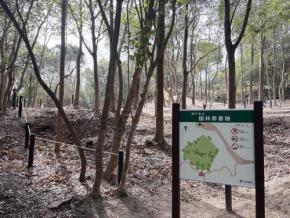 「樹林葬」に募集枠13倍申し込み 自然回帰志向でニーズ 神戸
