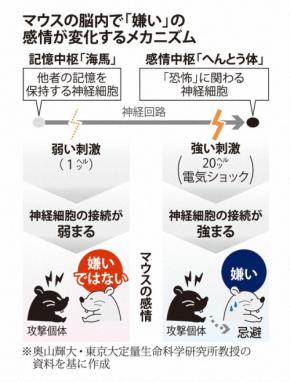 「好き」「嫌い」の脳内メカニズム解明 東大チームがマウスで実験