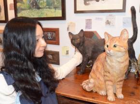 ついに“入館”にゃ　警備員と攻防の猫、木彫で尾道市立美術館へ