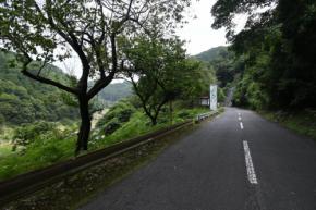 奈良市山中の2遺体、1人は容疑者の交際女性と確認　2人目は娘か