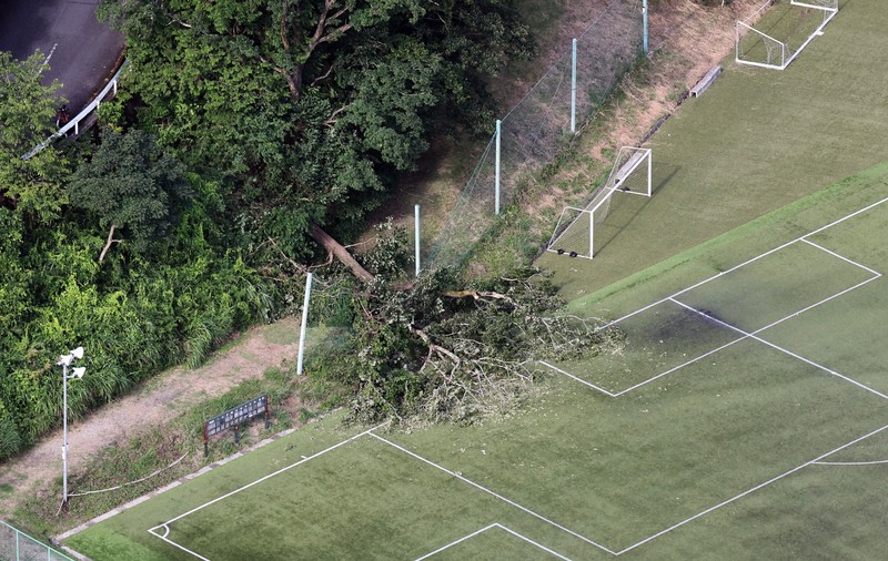 「バキバキと音が」　サッカーグラウンドで倒木、女性3人けが