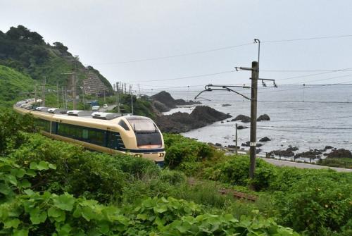 クリーム色と青の「旧国鉄色」 特急「いなほ」、特別企画で運行