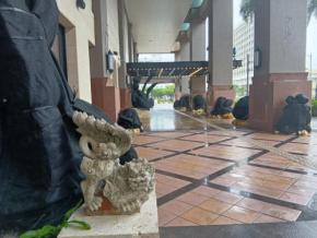 台風13号、沖縄本島を西進　3人けが　気象庁が警戒呼びかけ