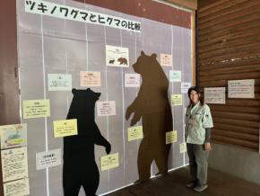 アーバンベアなぜ街に?　クマ出没の宇都宮、動物園で関わり学ぶ