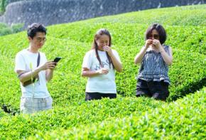 訪日客増で日本食に脚光 輸出トップは緑茶、欧米で抹茶ブームに