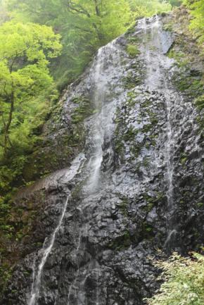 正岡子規も俳句に詠んだ白猪の滝 厳しい残暑忘れる風景 愛媛