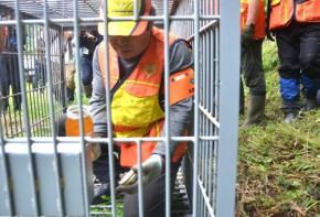 宮城でクマ個体数削減へ 捕獲作業本格化 2月までに390頭目標