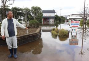 ニシキゴイや金魚10万匹全滅か　養魚場が浸水　印旛沼堤防決壊