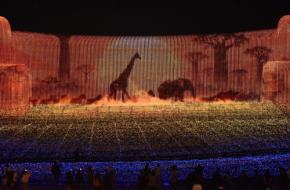 大画面で映す「野生の楽園」 三重・桑名でイルミネーション