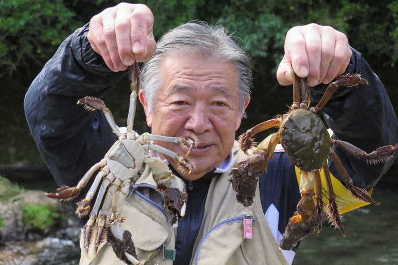 河津川でズガニの季節到来!　カニ汁や炊き込みご飯で　静岡