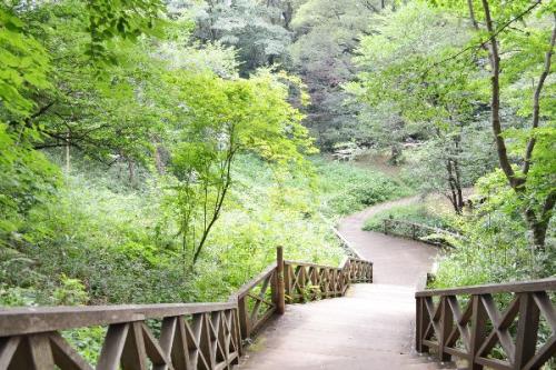 小田急小田原線 生田駅