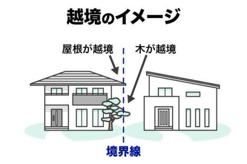 越境・越境物とは？原因やリスク、対処法と売却時の注意点まで解説