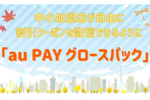 「au PAY グロースパック」