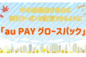 中小加盟店向け新規サービス「au PAY グロースパック」　 街の「au PAY」の加盟店が自由にクーポン配信