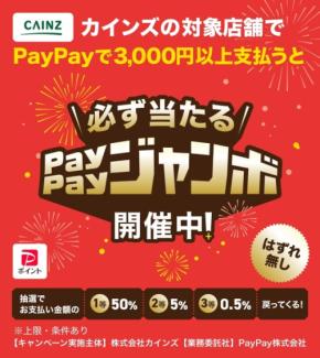 カインズで買い物して最大半額戻ってくる？ハズレ無しのPayPay還元キャンペーン