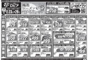 【ロピアチラシ】国産牛小間切れ・うなぎ・魚萬握り寿司（18貫）が特売に！6/29までの日替わりお買い得情報