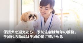 保護犬を迎えたら、予防注射は毎年の義務。手術代の助成は手術の前に確かめる