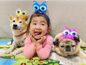 お揃いのカチューシャで「目玉兄妹」誕生！終始ニコニコな娘ちゃんと眠たそうなワンコたち