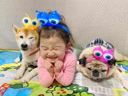 目玉の付いたカチューシャを付けた女の子とパグと柴犬