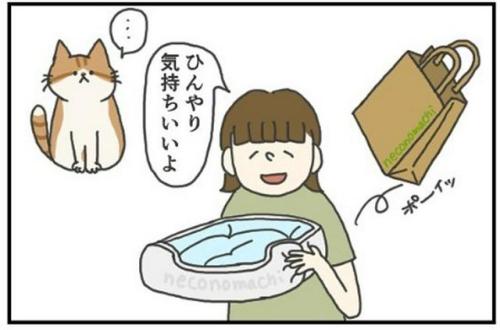 猫　紙袋