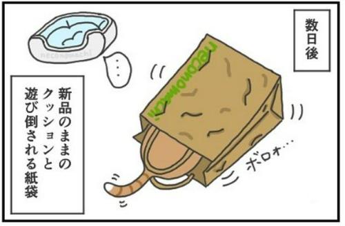 猫　紙袋