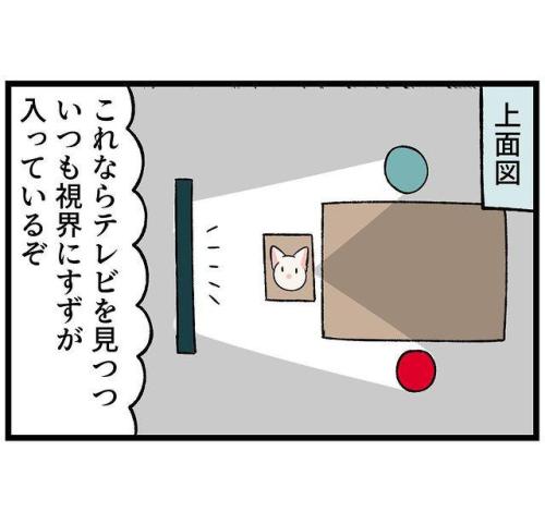 猫　図