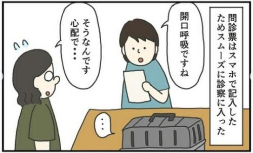 猫 診察 漫画