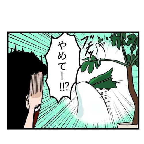 インコ 食べる 漫画