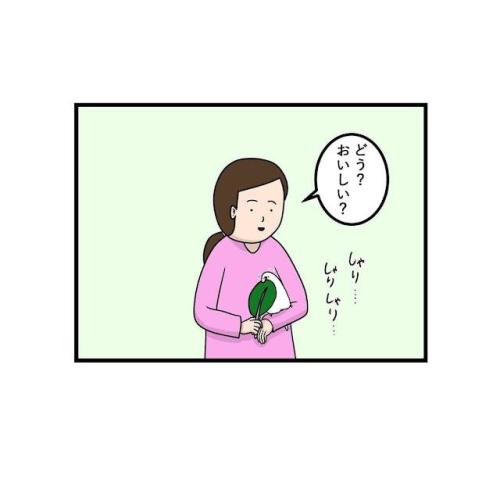 インコ 食べる 漫画