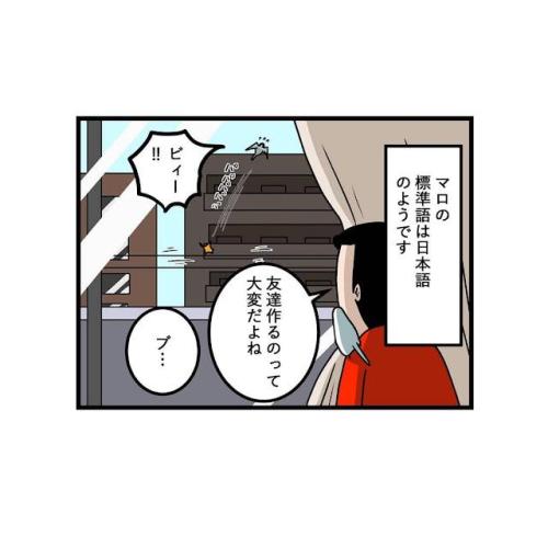インコ 小鳥 漫画