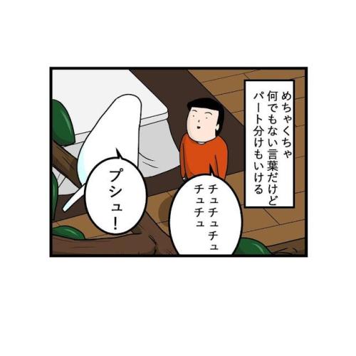 インコ 合言葉 漫画