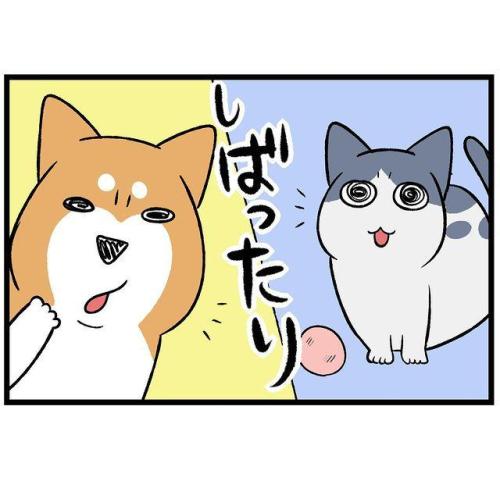 犬 猫 漫画