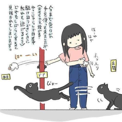 猫 遊ぶ 漫画