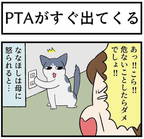 猫 イタズラ 漫画