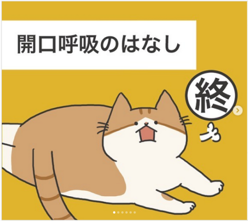 猫 開口呼吸