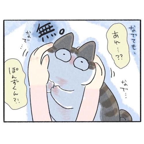 猫 ぼう然 漫画