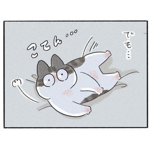 猫 寝転ぶ 漫画