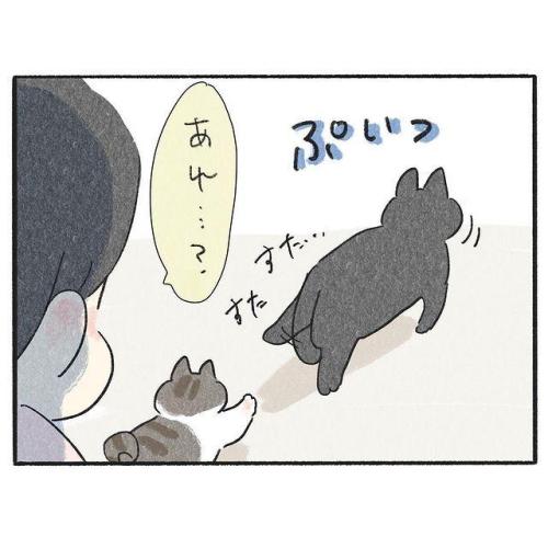 猫　無視　漫画