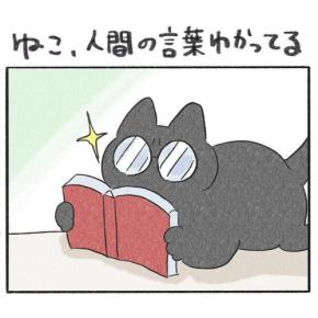 【漫画】第74話：人間の言葉が分かるの！？マタタビボールを捨てさせまいとする猫さん【くろもくん】