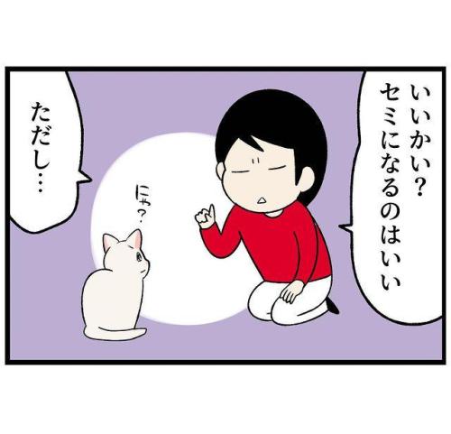 猫 諭す 漫画