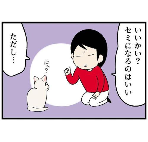 猫　諭す　漫画