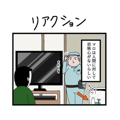 インコ しゃべる 漫画