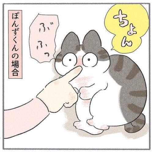 猫 鼻タッチ 漫画