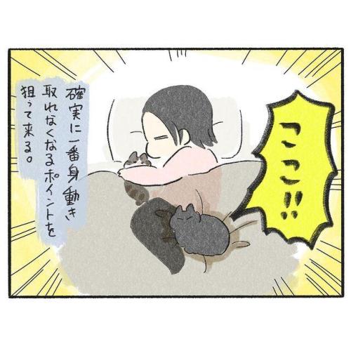猫 寝る 漫画